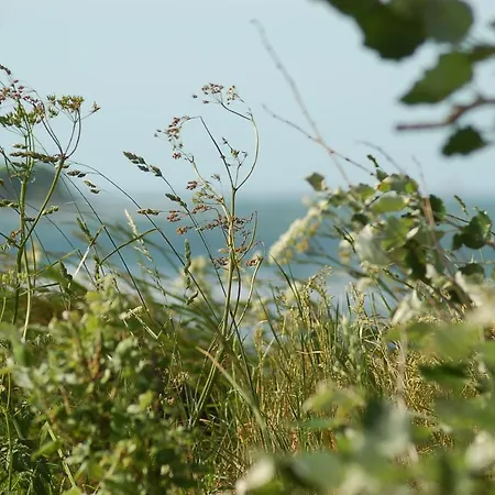 Prázdninový dům Ferienbauernhof Liesenberg Jagdreihenhaus Nr 24