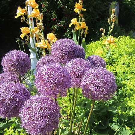 Ferienbauernhof Liesenberg Jagdreihenhaus Nr 24 Prázdninový dům Fehmarn