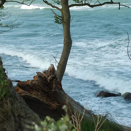 Ferienbauernhof Liesenberg Jagdreihenhaus Nr 24 Fehmarn