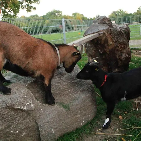 Ferienbauernhof Liesenberg Jagdreihenhaus Nr 24 Prázdninový dům Fehmarn