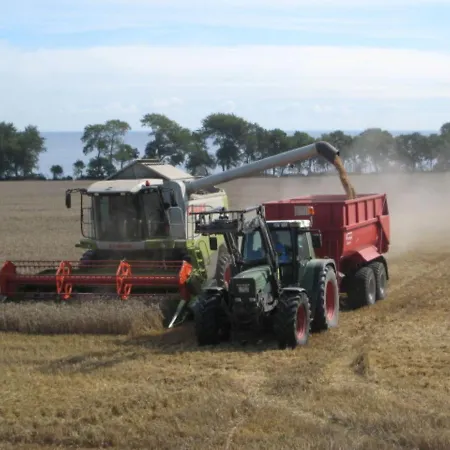 Prázdninový dům Ferienbauernhof Liesenberg Jagdreihenhaus Nr 24 *